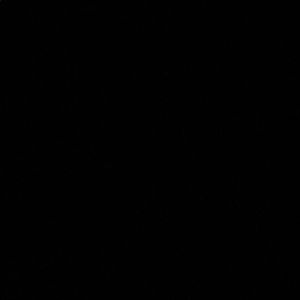 Meet your Posher, Jolie